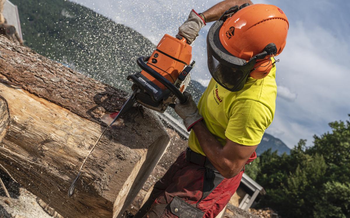 Odkup hlodovine: “Danes odpeljemo, jutri plačamo“